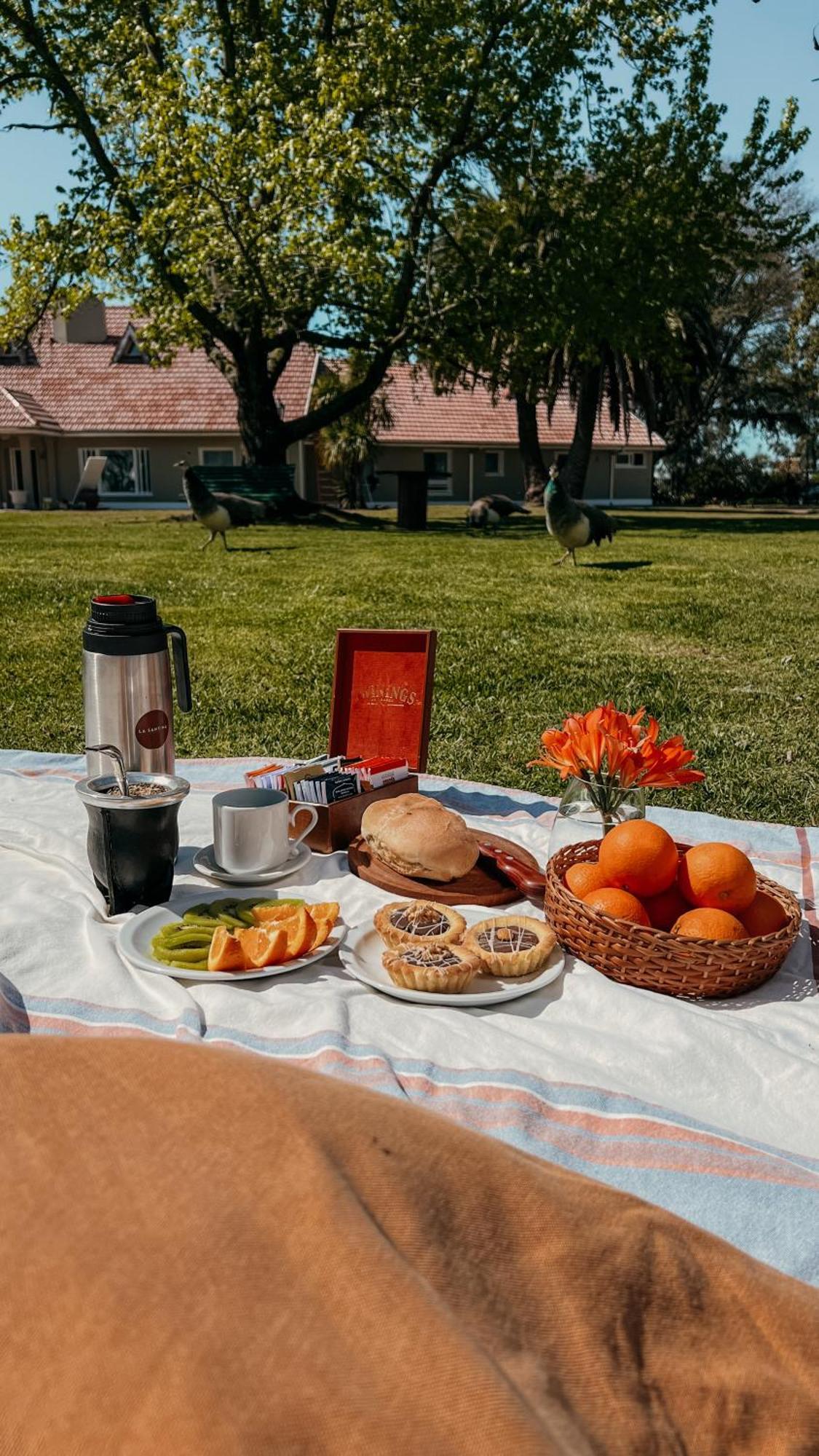 La Santina Posada & Experiencias De Campo Сан Педро Екстериор снимка