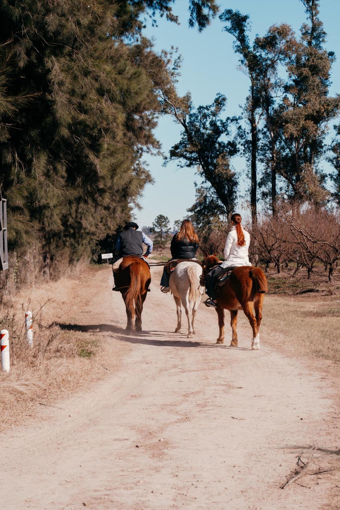La Santina Posada & Experiencias De Campo Сан Педро Екстериор снимка